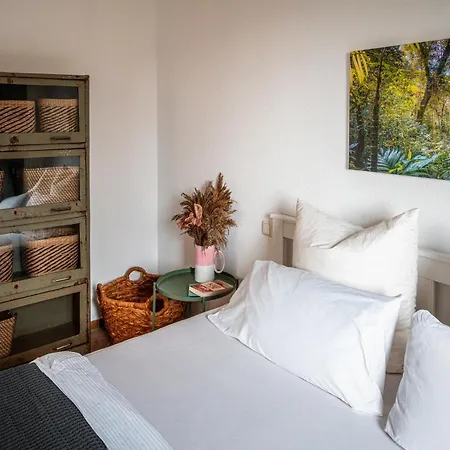 3-raum-appartement Hygge זאסניץ