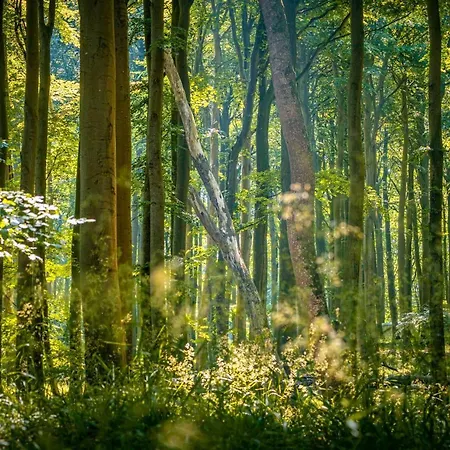 3-raum-appartement Hygge